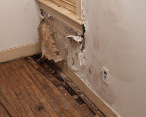 Prevent Costly Water Damage