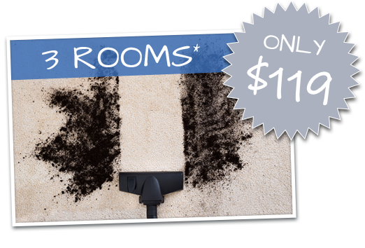 Learn More About Carpet Cleaning Specials in Indianapolis
